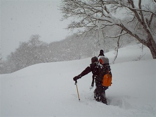 110212_041558_import_R