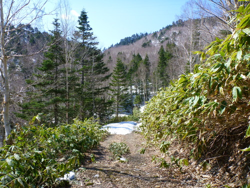 P1040027