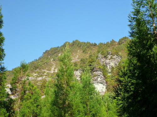 P1020768