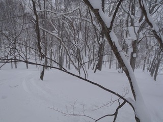 P2040013_R