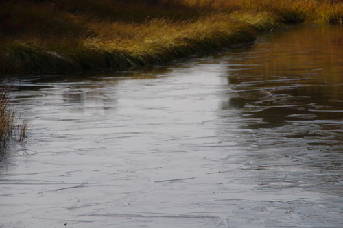 IMGP3785
