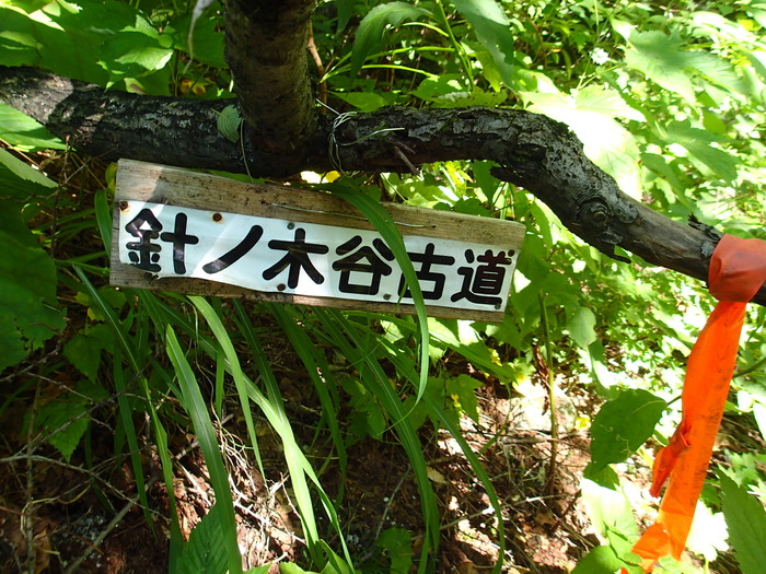 P8103415