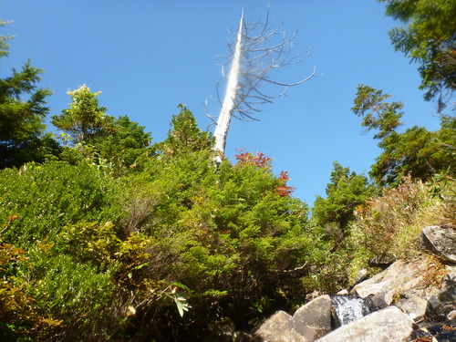 P1060915