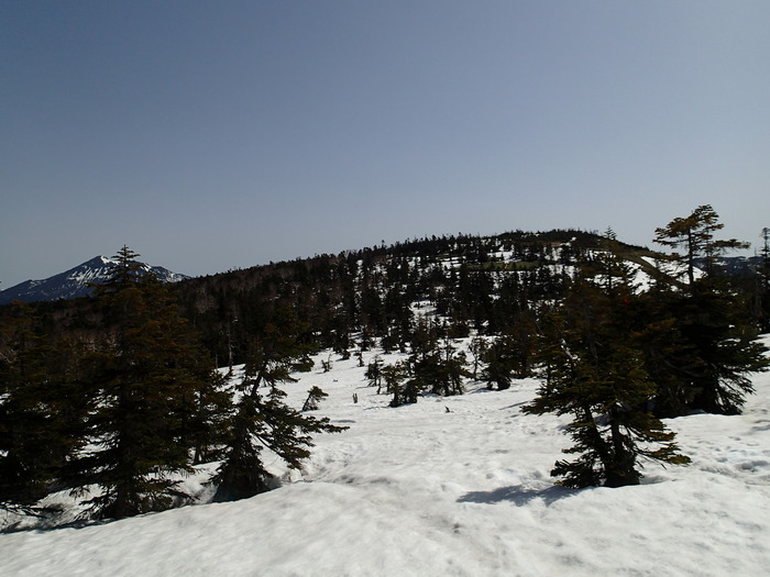 P4290600
