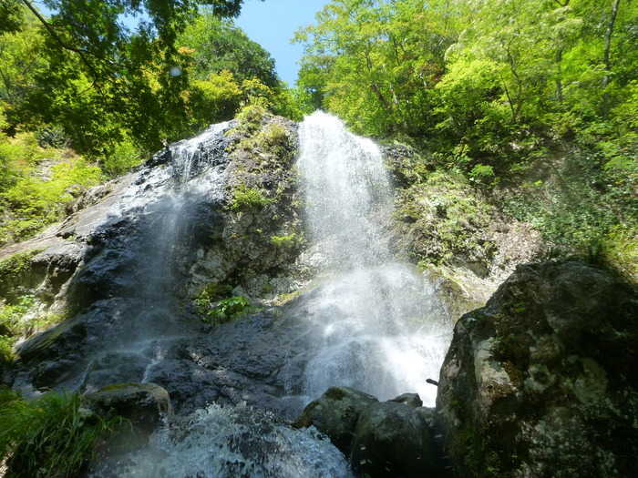 P1000393