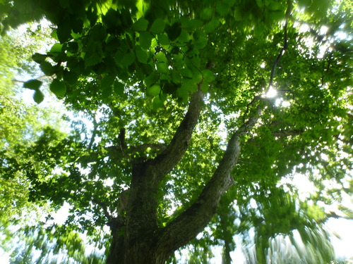 P1060546