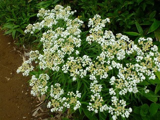 P1020157_R