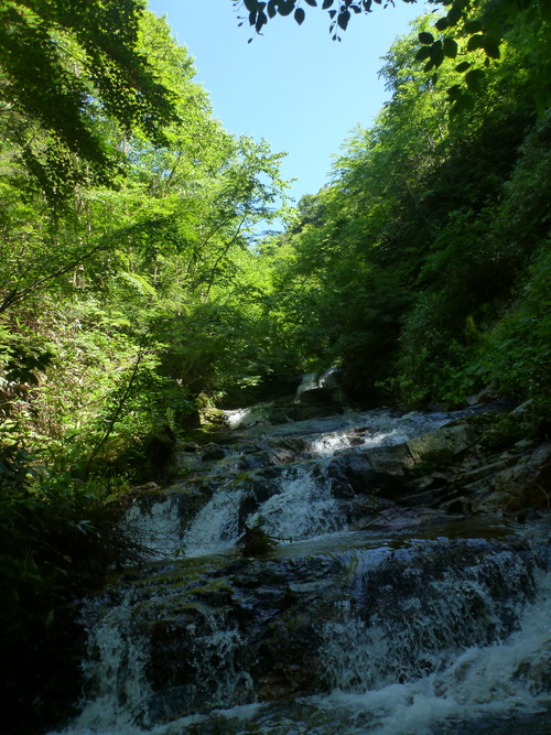 P1070967