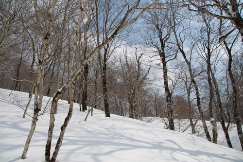 IMGP5485