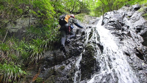 uvs130825-010