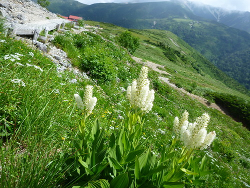 P1000173