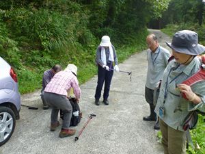 P1000553_R