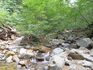 P9010030_R