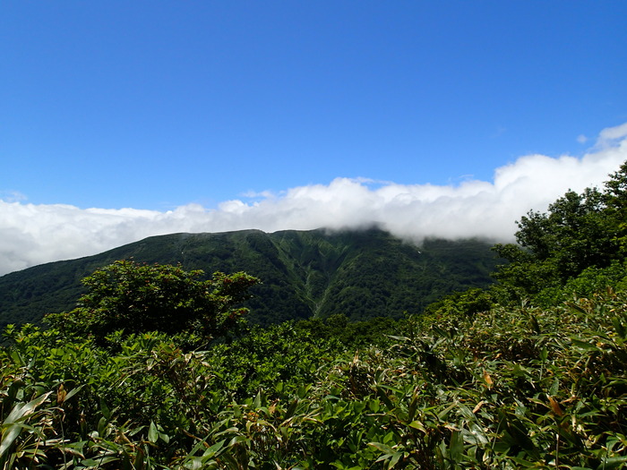 P7133310