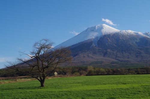 IMGP3396