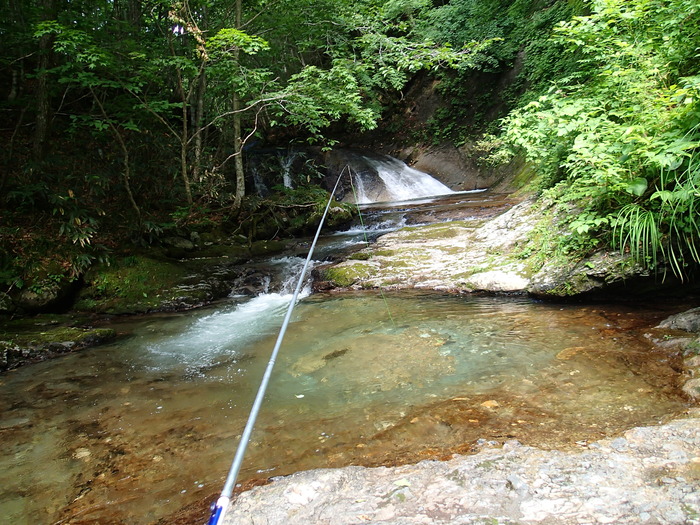 P7273353
