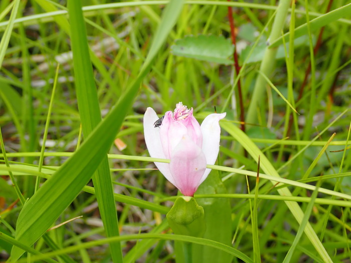 P7110005