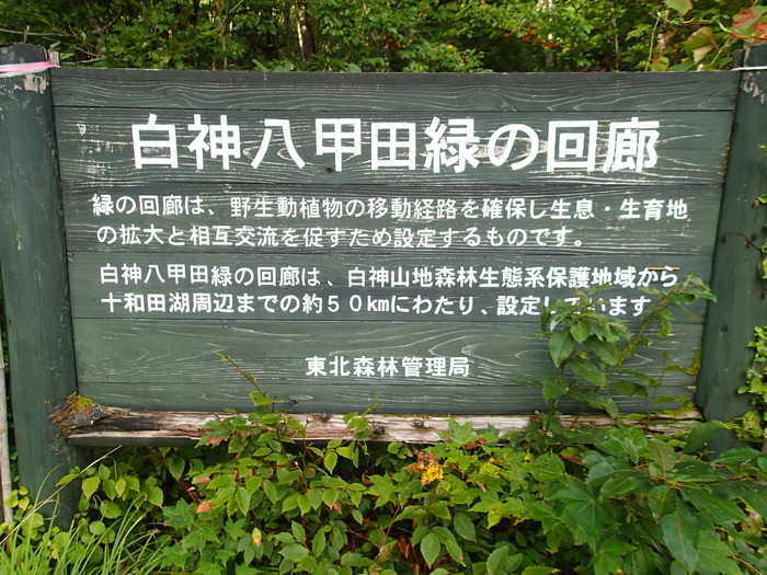 P9211593