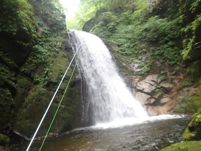 P7081121