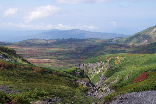 IMGP3907