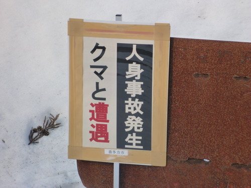 P1030333