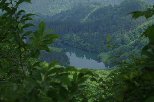 IMGP0713