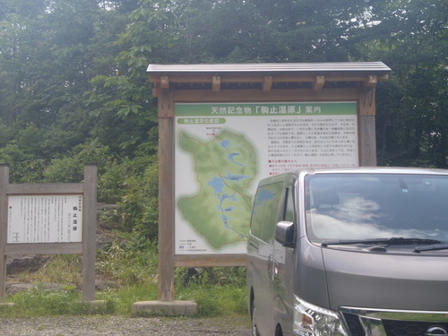 P6300045
