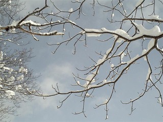 110213_084730_import_R