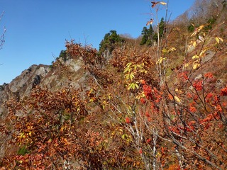 P1010129_R