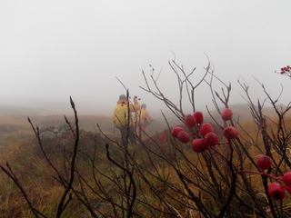 101009_112530_import_002