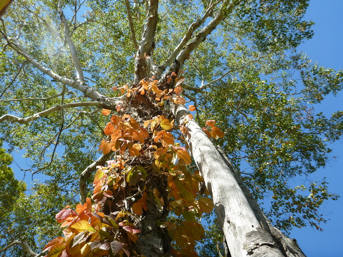P1000481