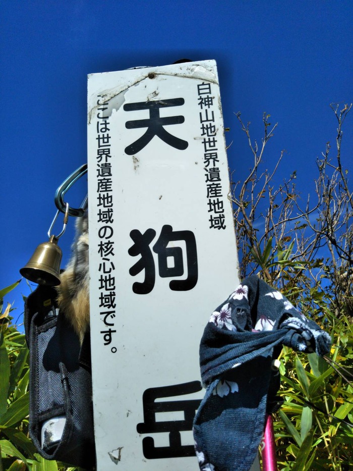 1537748016629