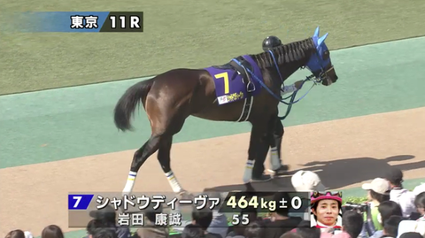 シャドウディーヴァ優駿牝馬