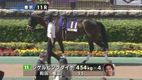 シゲルピンクダイヤ優駿牝馬