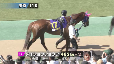 メイショウショウブ優駿牝馬