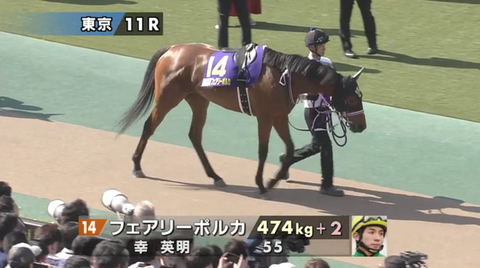 フェアリーポルカ優駿牝馬