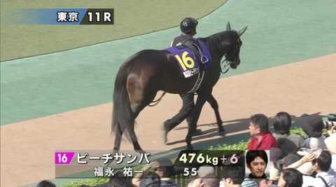 ビーチサンバ優駿牝馬
