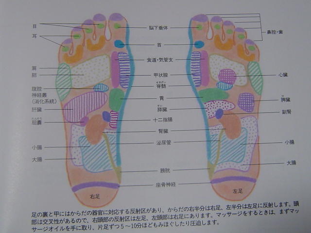 英国式リフレクソロジー 足裏健康法 反射区療法 Racool サロン ラクール佐渡店 英国式リフレクソロジー 足裏健康法 反射区療法 Racool サロン ラクール佐渡店
