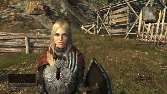 ドラゴンズドグマオンライン(DDON)模造[ジリアン]