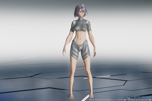 ファンタシースターオンライン２:ニュージェネシス・ヒト型タイプ2(女性型)体型モデル3