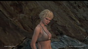 Dragon's Dogma Online__4