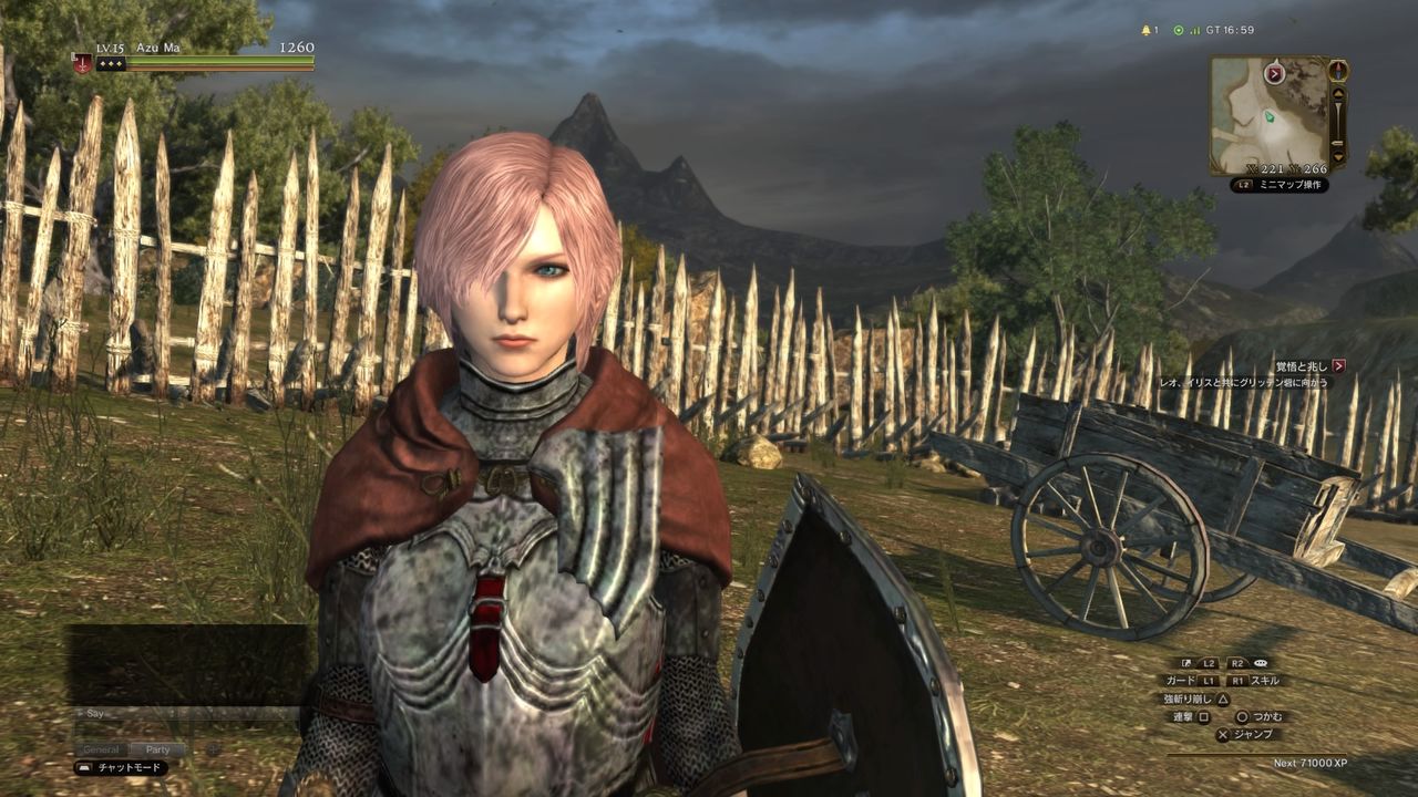 ドラゴンズドグマオンライン Ddon 模造キャラメイク４ Ffシリーズ風 キャラクターメイキング専門ブログ