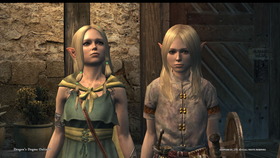 Dragon's Dogma Online__79