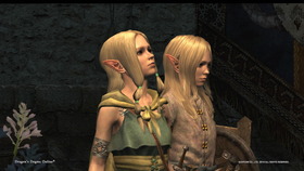 Dragon's Dogma Online__108