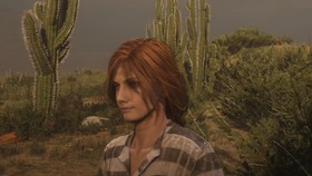 Red Dead Redemption 2_20201226125433