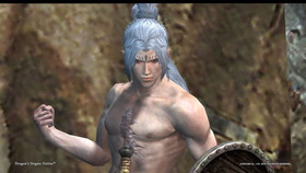 Dragon's Dogma Online__14