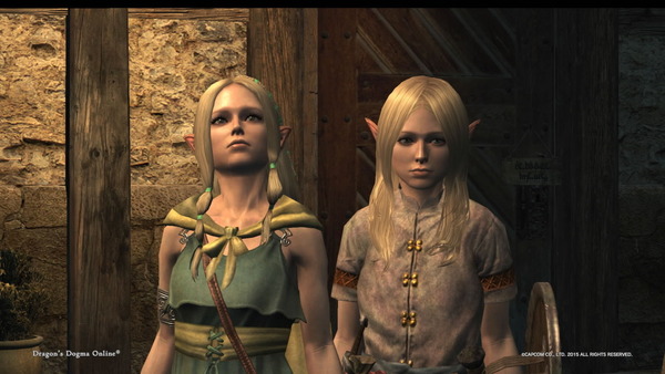 Dragon's Dogma Online__111
