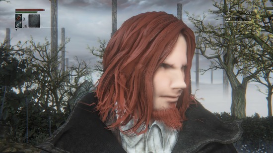 Bloodborne®_20151112101918
