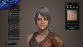 モンスターハンター：ワールド_20180127041536