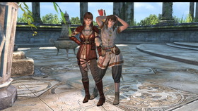Dragon's Dogma Online__84